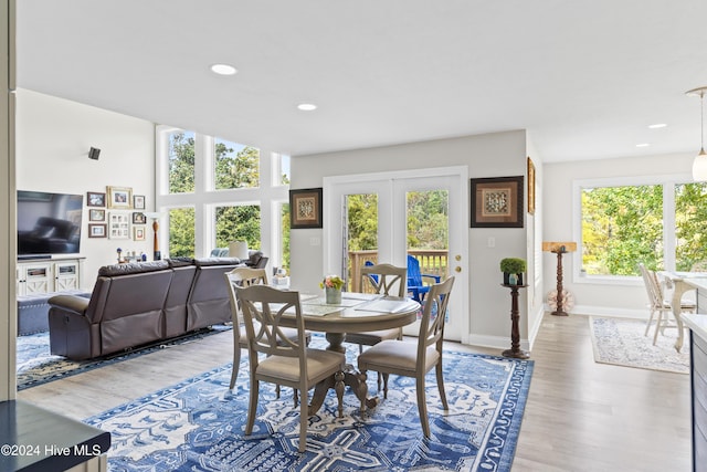 dining room featuring plenty of natural light and wood-type flooring