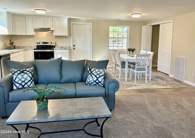 living room with light hardwood / wood-style floors and sink