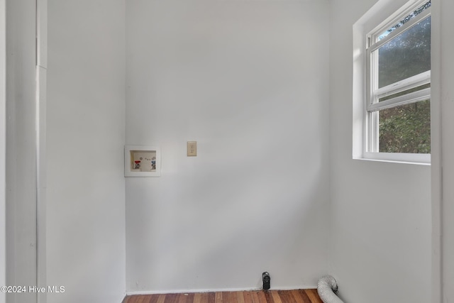 clothes washing area featuring washer hookup, a healthy amount of sunlight, and light hardwood / wood-style flooring