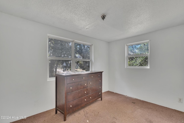 interior space featuring light carpet and a textured ceiling