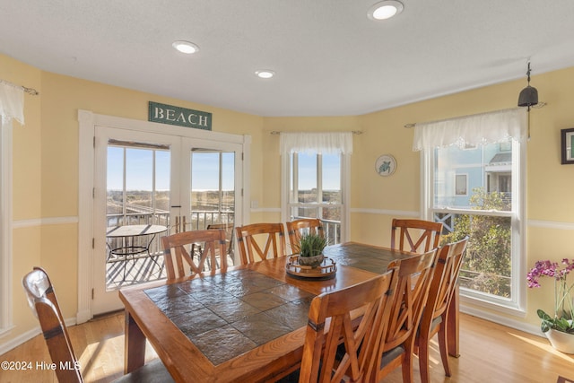 dining room with plenty of natural light and light wood-type flooring