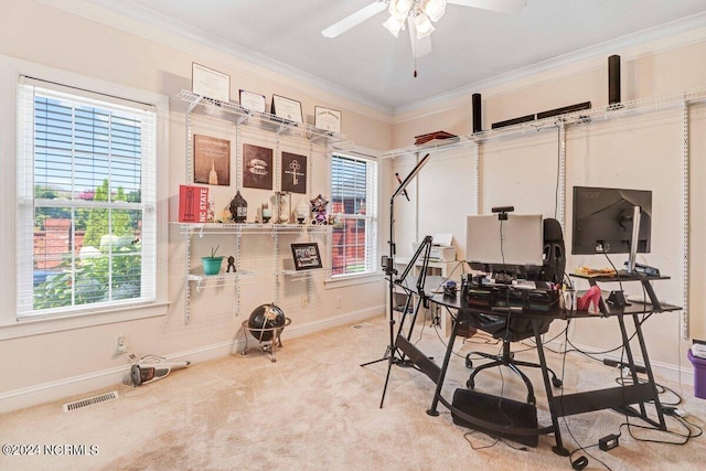 home office featuring crown molding, carpet, and ceiling fan