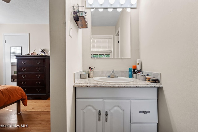 bathroom with vanity and wood-type flooring