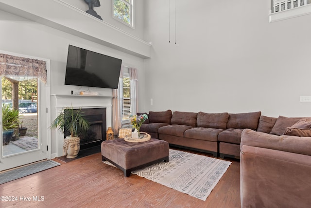 living room with a high ceiling and hardwood / wood-style flooring