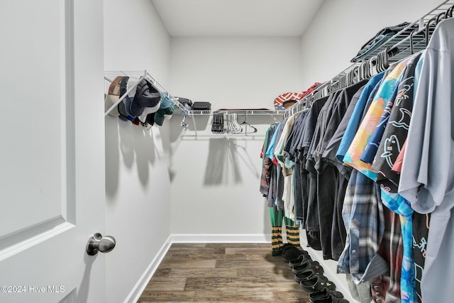 spacious closet featuring dark wood-type flooring