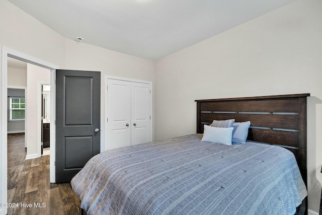 bedroom featuring dark hardwood / wood-style floors and a closet