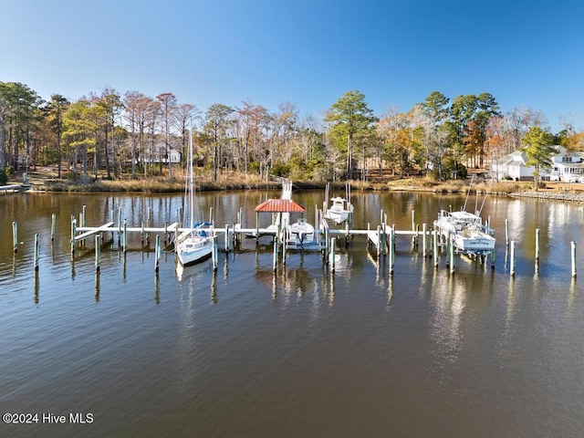 dock area featuring a water view