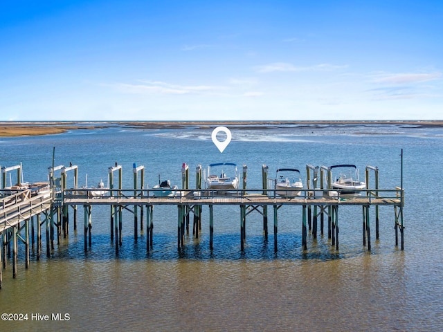 dock area with a water view