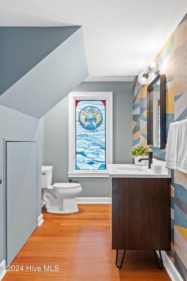 bathroom featuring hardwood / wood-style floors, vanity, toilet, and plenty of natural light