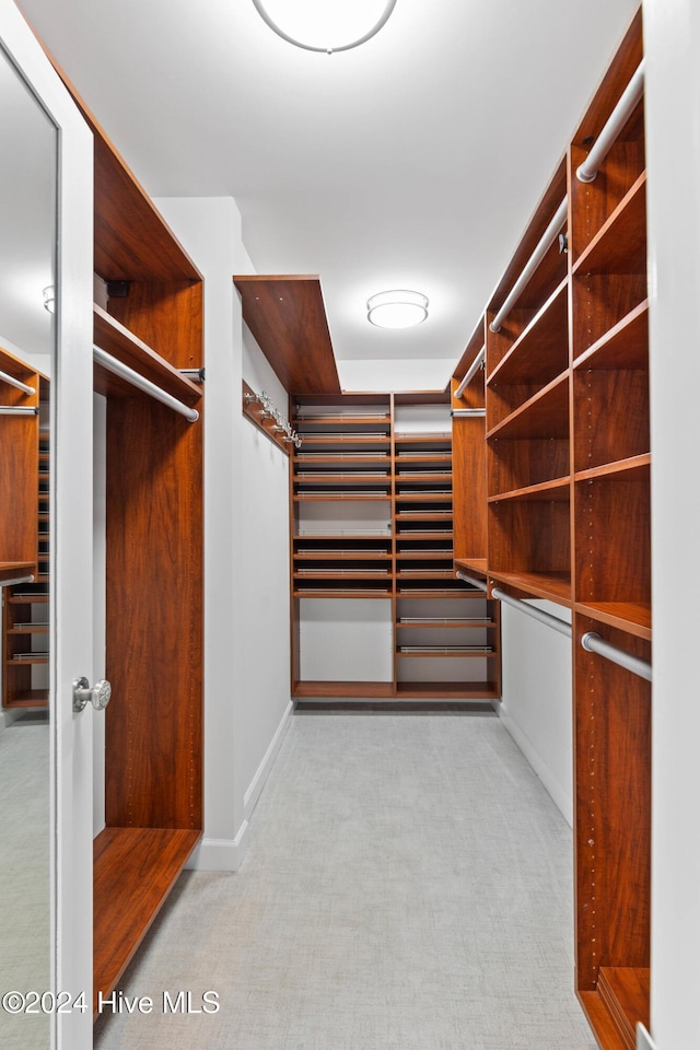 spacious closet with light colored carpet