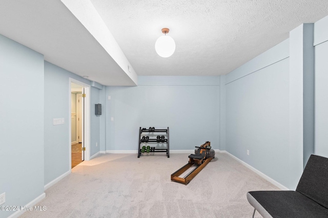 interior space with carpet flooring and a textured ceiling