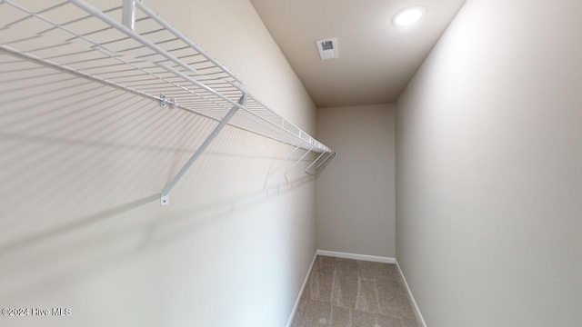 spacious closet featuring carpet