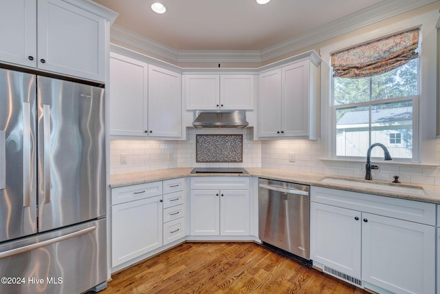 kitchen featuring sink, light hardwood / wood-style flooring, ornamental molding, appliances with stainless steel finishes, and white cabinetry