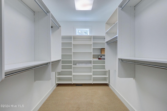 walk in closet with light carpet