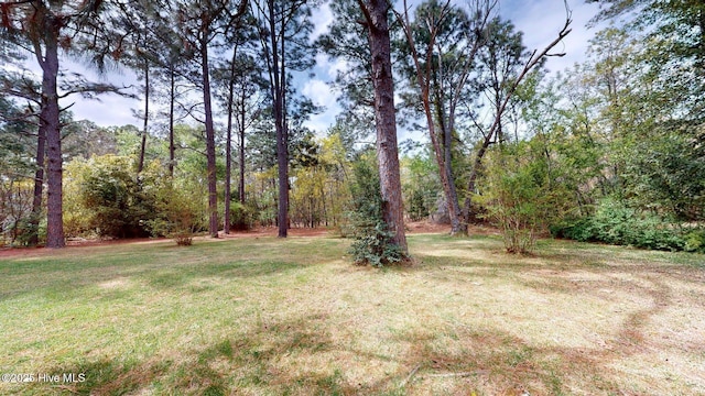 view of yard featuring a view of trees