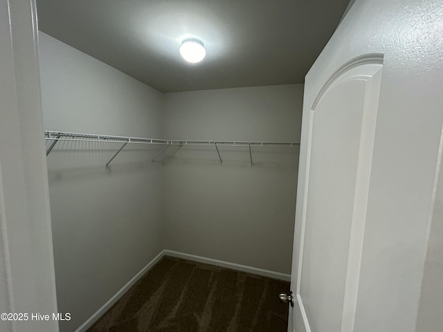 spacious closet featuring dark colored carpet