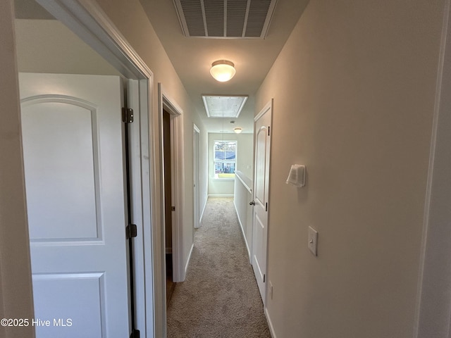 corridor with light carpet, baseboards, visible vents, and attic access