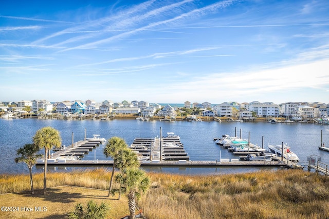 dock area with a water view