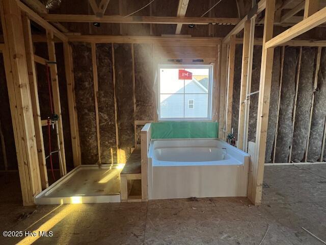 bathroom with a bathing tub