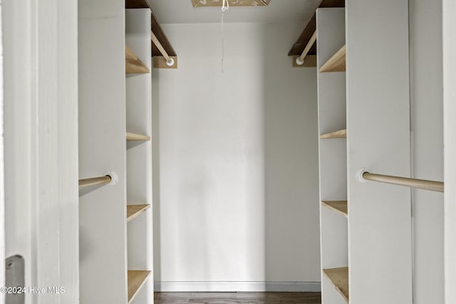 walk in closet with dark hardwood / wood-style floors