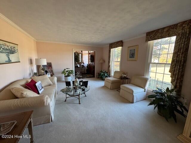 carpeted living room with ornamental molding