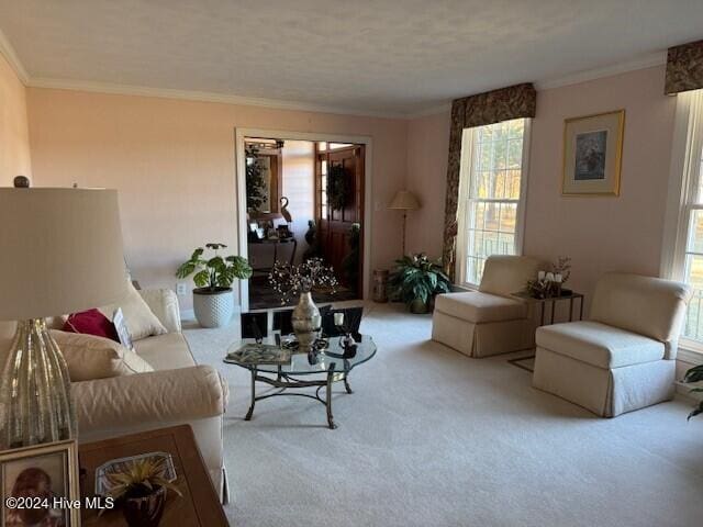 carpeted living room featuring ornamental molding