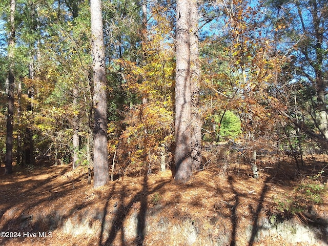 view of local wilderness