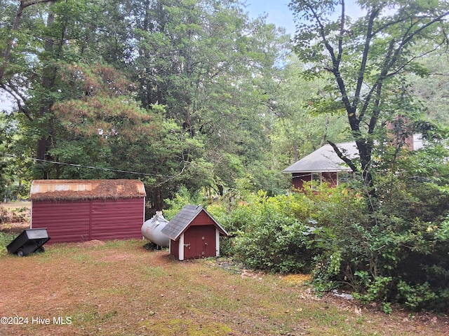 view of yard featuring a shed