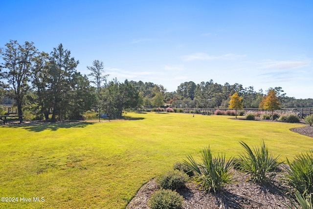 view of yard featuring a rural view