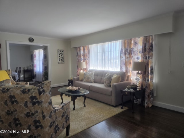 living room featuring dark hardwood / wood-style floors and ornamental molding