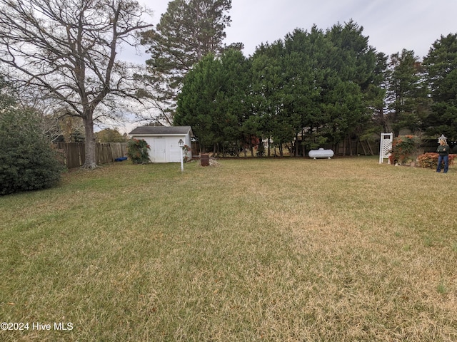 view of yard with a shed