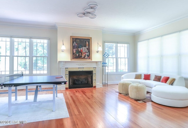 interior space featuring a healthy amount of sunlight, wood-type flooring, and crown molding