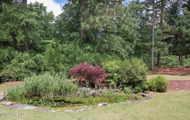 215 Inverrary Rd, Pinehurst, NC 28374 - view of green lawn
