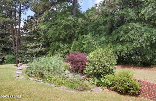 215 Inverrary Rd, Pinehurst, NC 28374 - view of green lawn