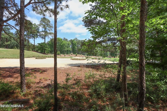 215 Inverrary Rd, Pinehurst, NC 28374 - view of local wilderness