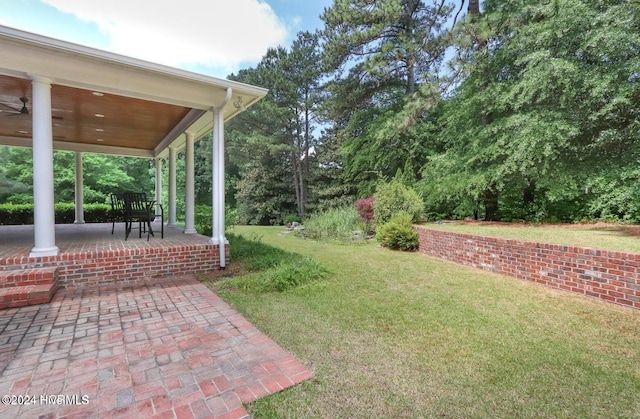 back of house featuring a lawn