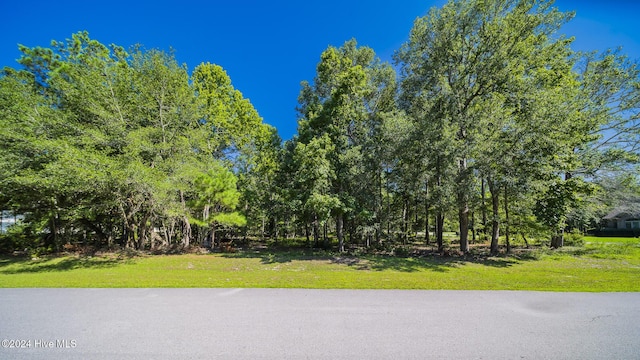 1998 Redfish Run SW Unit 296, Supply NC, 28462 land for sale