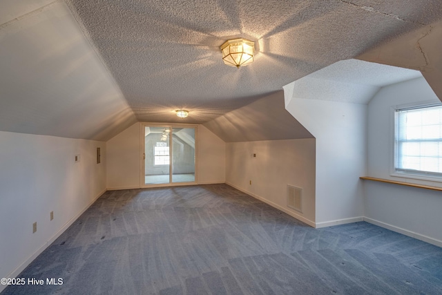 additional living space featuring carpet, a textured ceiling, and lofted ceiling