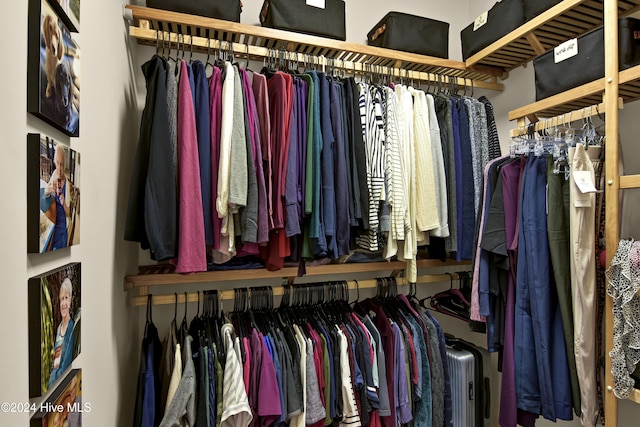 view of spacious closet