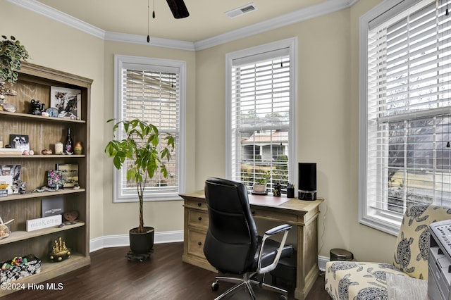 office featuring dark hardwood / wood-style floors, ceiling fan, and ornamental molding