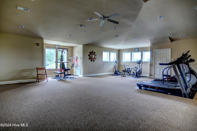 exercise area featuring ceiling fan, a wealth of natural light, and carpet flooring