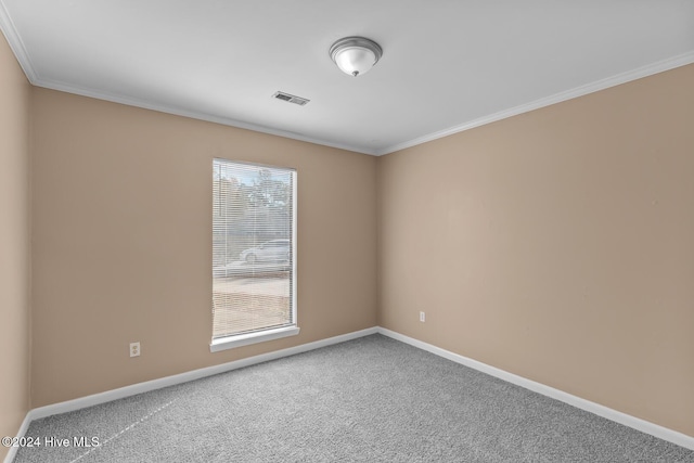 spare room with carpet floors and crown molding