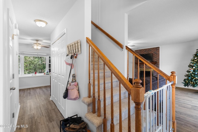 stairs featuring ceiling fan and wood-type flooring