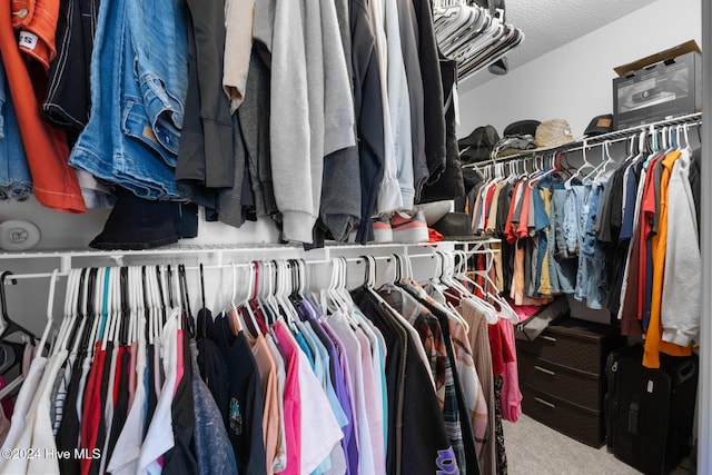 spacious closet with carpet