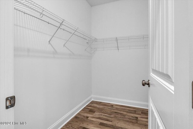 walk in closet featuring hardwood / wood-style flooring