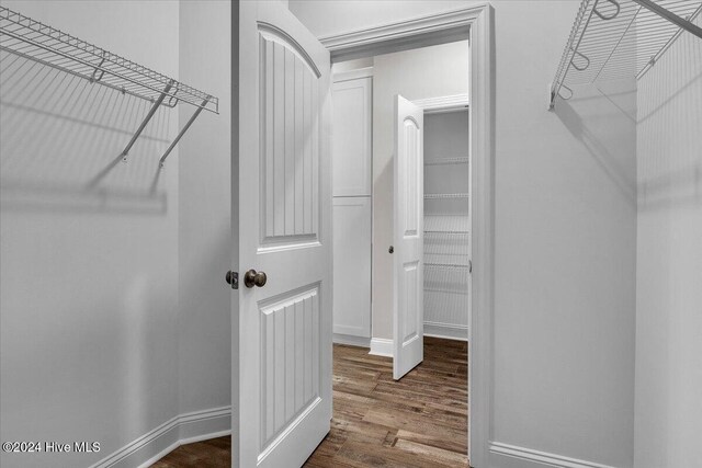 walk in closet featuring wood-type flooring