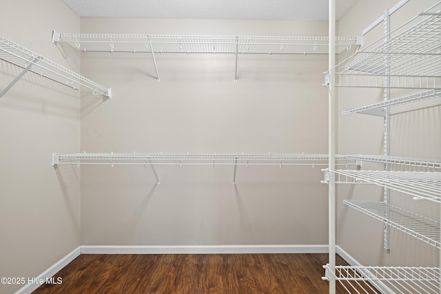 walk in closet featuring dark wood-type flooring