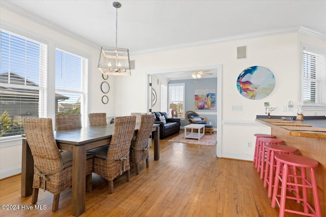 dining room with a healthy amount of sunlight, crown molding, and light hardwood / wood-style flooring