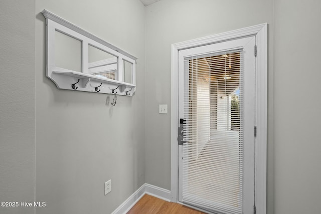 entryway featuring wood-type flooring