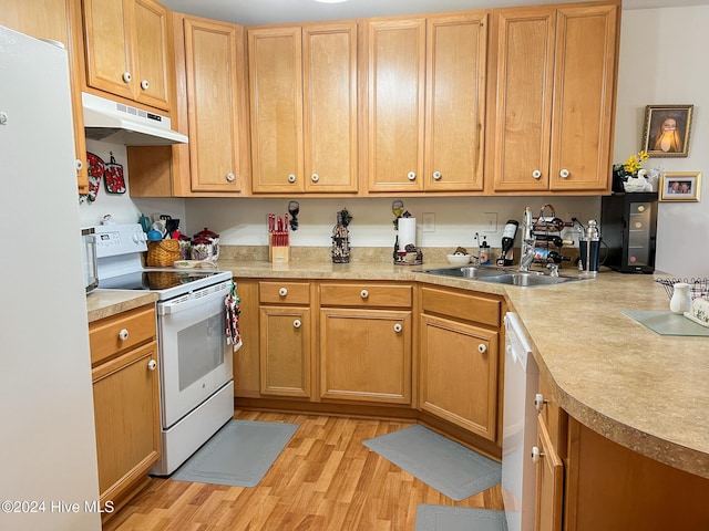 kitchen featuring light hardwood / wood-style flooring, white appliances, and sink